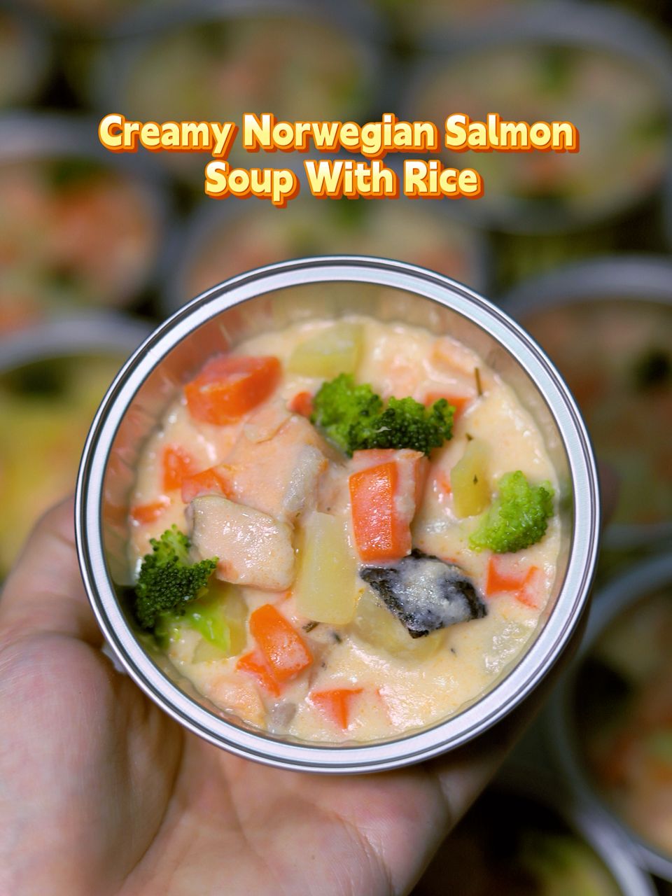 宝宝营养盖饭 Baby Nutri Rice Bowl