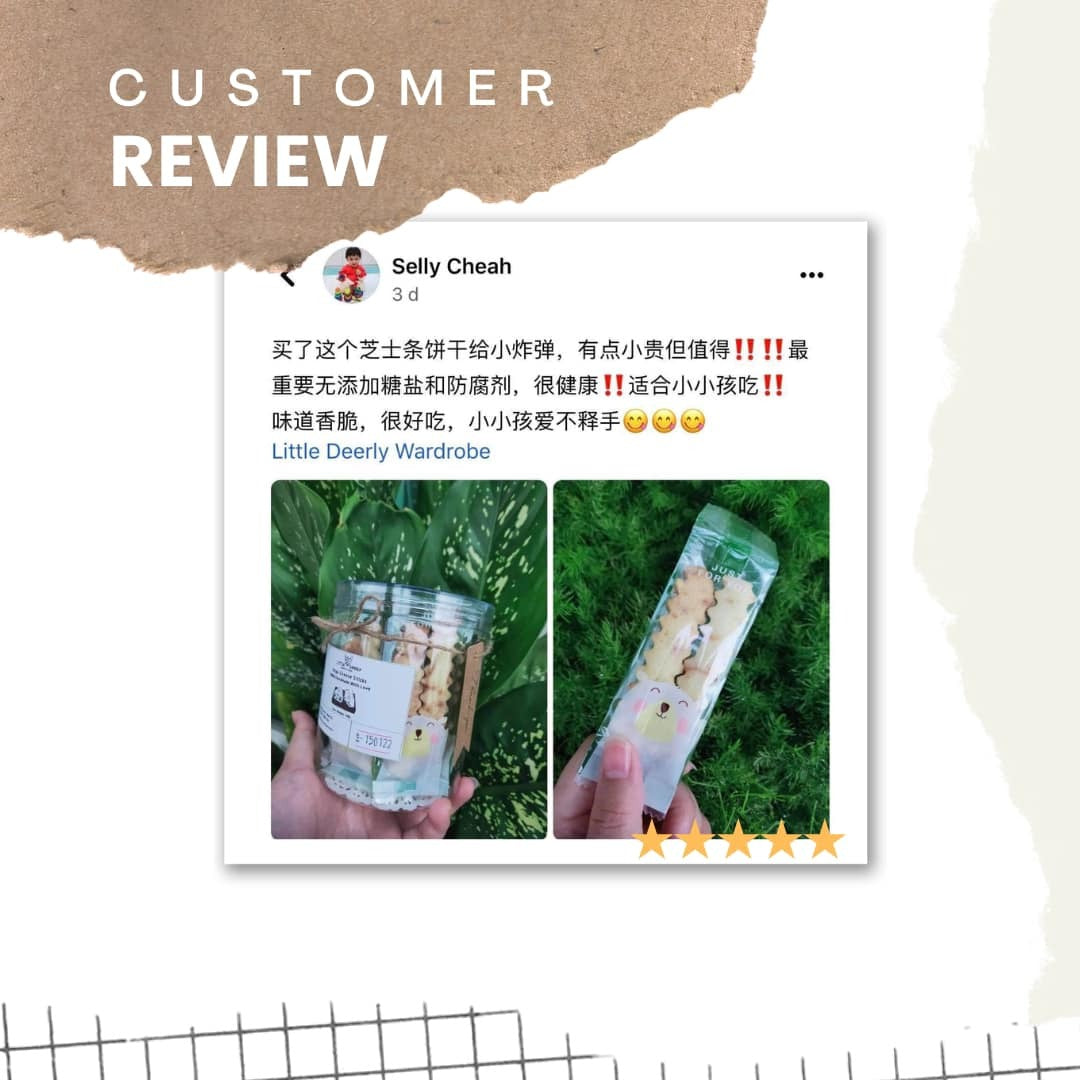 高钙芝士薯条 Bega Cheese Sticks