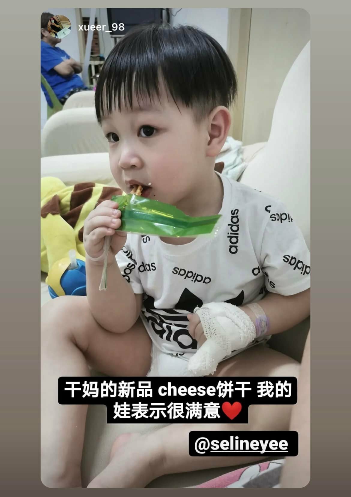 高钙芝士薯条 Bega Cheese Sticks