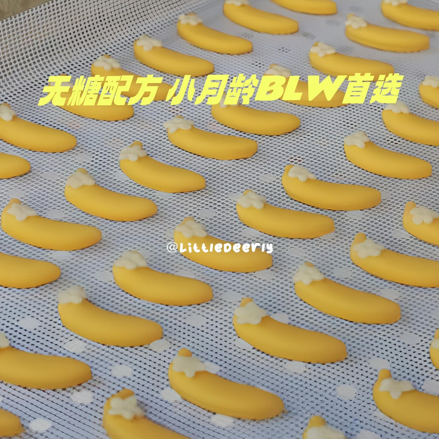 香蕉小馒头 Banana Mini Buns【无糖系列 No Sugar