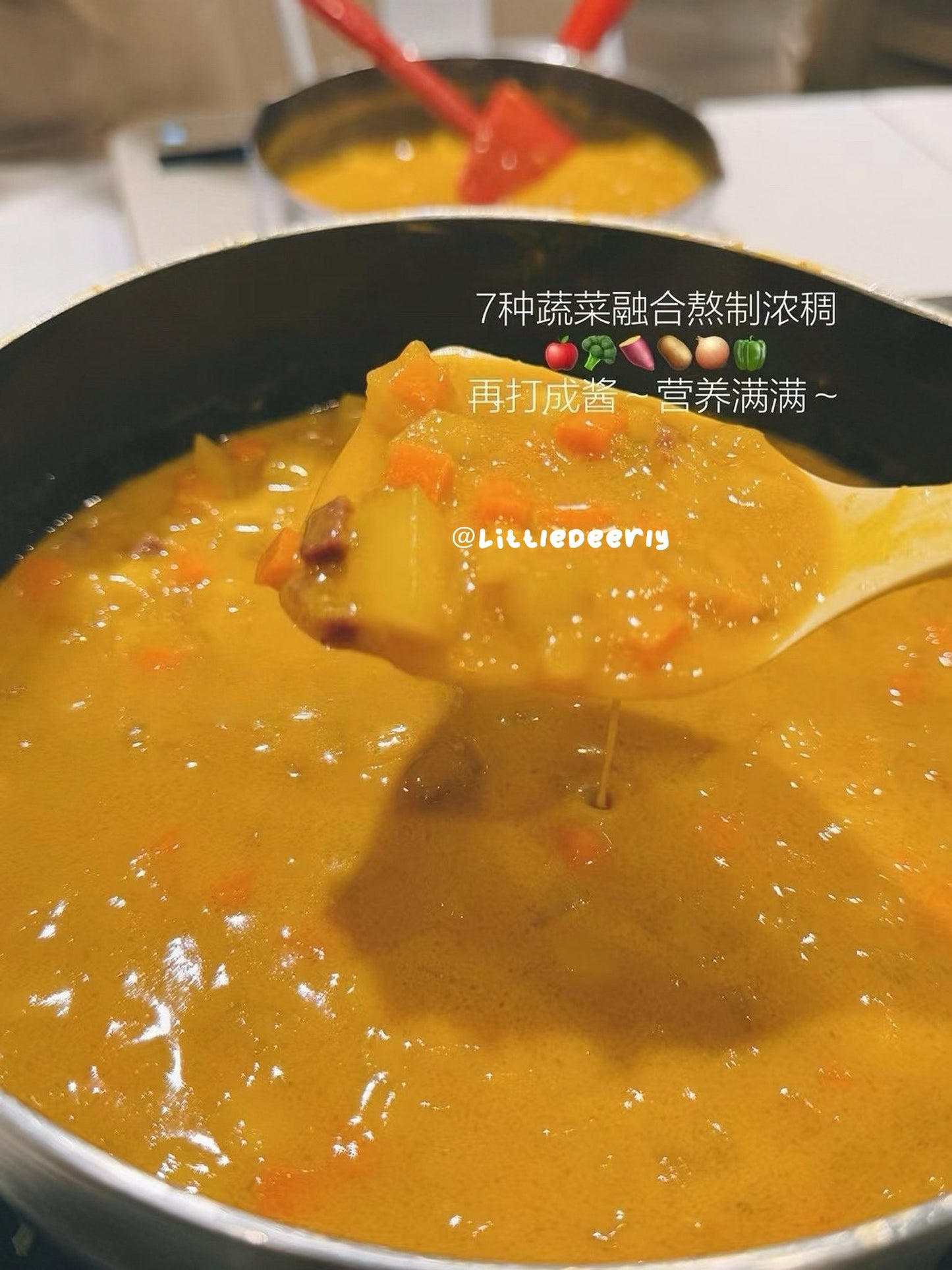 果蔬日本不辣的咖喱酱 Japanese Veggie Curry Sauce