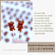 山楂蓝莓开胃护眼无糖棒棒糖 Hawthorn Blueberry Lollipop