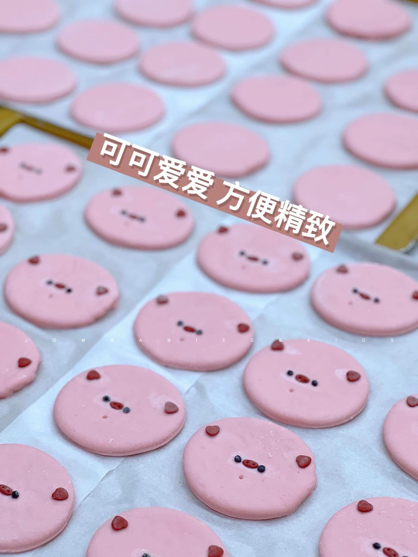小猪 & 帕洽狗馍馍 Doggie & Piggie Baked Bun