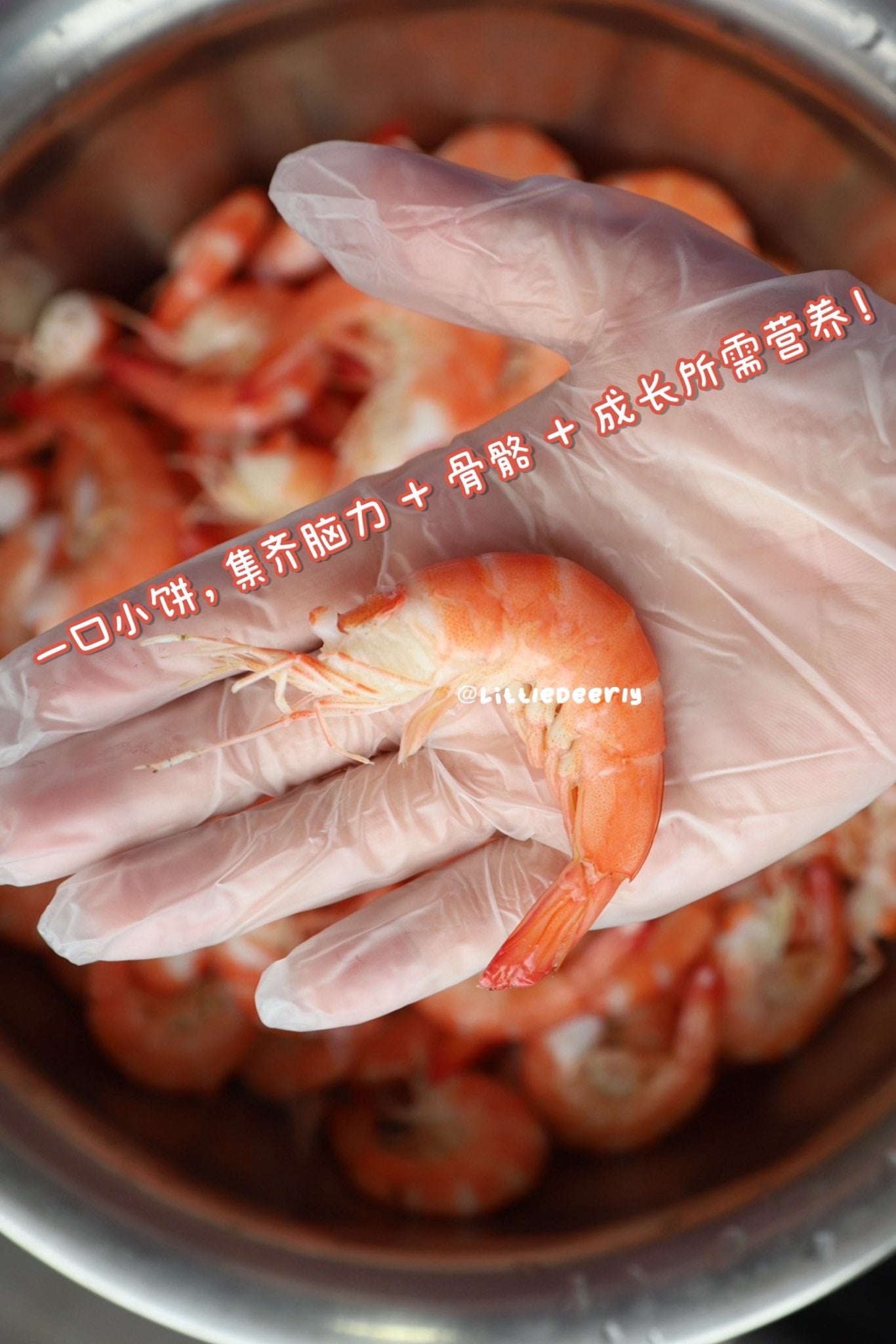 三文鱼虾虾米饼 Salmon Shrimpie Rice Cracker